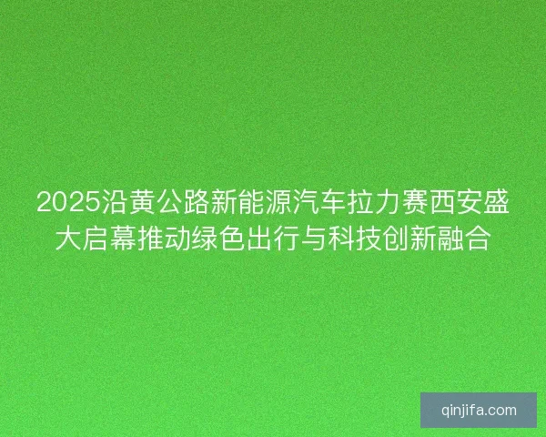 2025沿黄公路新能源汽车拉力赛西安盛大启幕推动绿色出行与科技创新融合